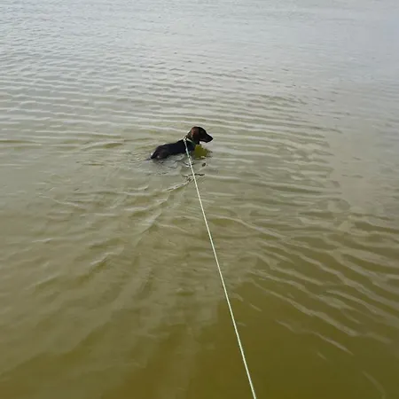 Lägenhet Gardonyi Nyaralo 1